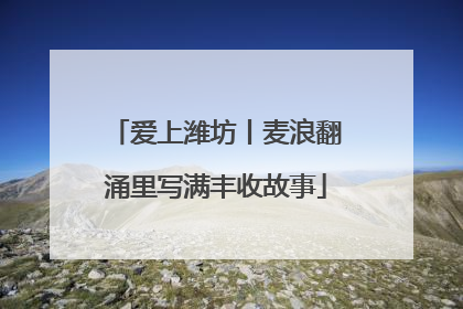 爱上潍坊丨麦浪翻涌里写满丰收故事