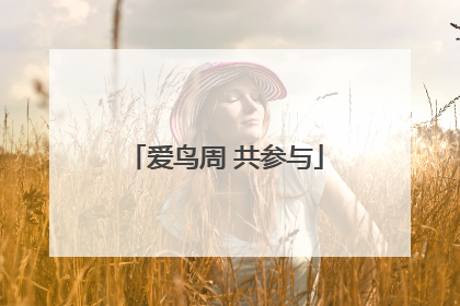 爱鸟周 共参与