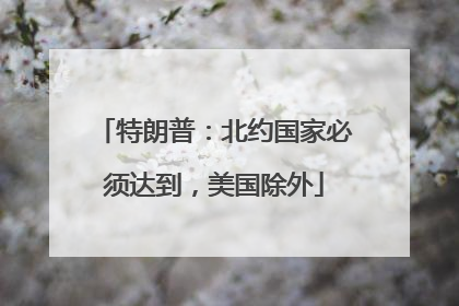 特朗普：北约国家必须达到，美国除外