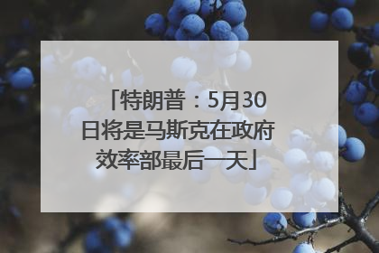特朗普：5月30日将是马斯克在政府效率部最后一天