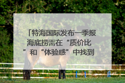 特海国际发布一季报 海底捞需在“质价比”和“体验感”中找到平衡｜新经济观察