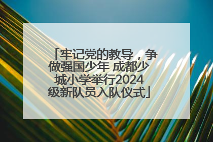 牢记党的教导，争做强国少年 成都少城小学举行2024级新队员入队仪式