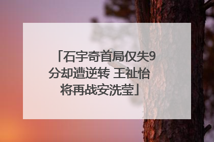 石宇奇首局仅失9分却遭逆转 王祉怡将再战安洗莹