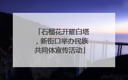 石榴花开耀白塔，新街口举办民族共同体宣传活动