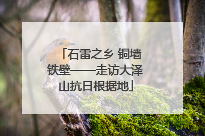 石雷之乡 铜墙铁壁——走访大泽山抗日根据地