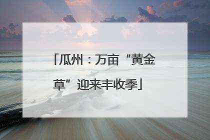 瓜州：万亩“黄金草”迎来丰收季