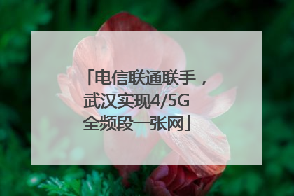 电信联通联手，武汉实现4/5G全频段一张网