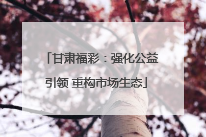甘肃福彩：强化公益引领 重构市场生态