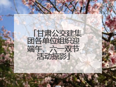 甘肃公交建集团各单位组织迎端午、六一双节活动掠影