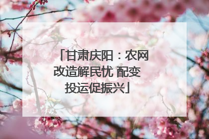 甘肃庆阳：农网改造解民忧 配变投运促振兴