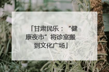 甘肃民乐：“健康夜市”将诊室搬到文化广场