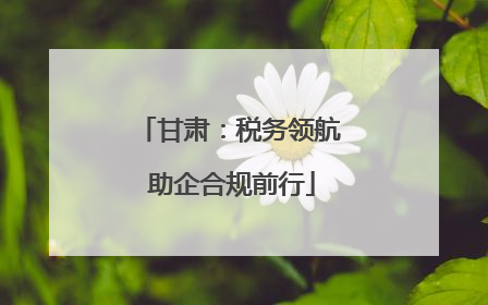 甘肃：税务领航 助企合规前行