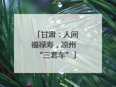 甘肃：人间福禄寿，凉州“三套车”