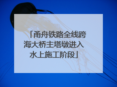 甬舟铁路全线跨海大桥主塔墩进入水上施工阶段
