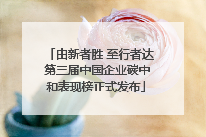 由新者胜 至行者达 第三届中国企业碳中和表现榜正式发布