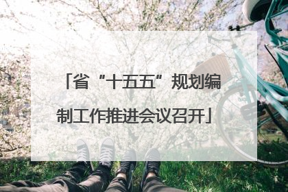 省“十五五”规划编制工作推进会议召开