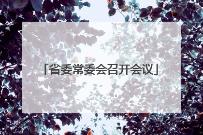 省委常委会召开会议