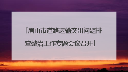 眉山市道路运输突出问题排查整治工作专题会议召开