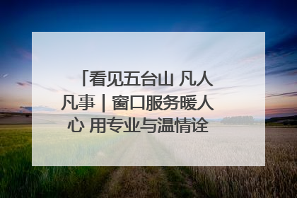 看见五台山 凡人凡事｜窗口服务暖人心 用专业与温情诠释责任担当