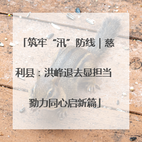 筑牢“汛”防线｜慈利县：洪峰退去显担当 勠力同心启新篇