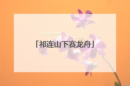 祁连山下赛龙舟