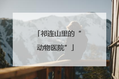 祁连山里的“动物医院”
