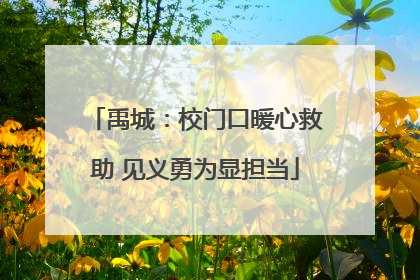 禹城：校门口暖心救助 见义勇为显担当