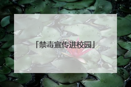 禁毒宣传进校园