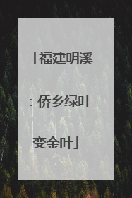 福建明溪：侨乡绿叶变金叶