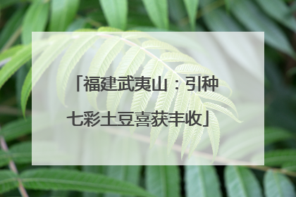 福建武夷山：引种七彩土豆喜获丰收