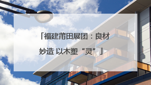 福建莆田展团：良材妙造 以木塑“灵”