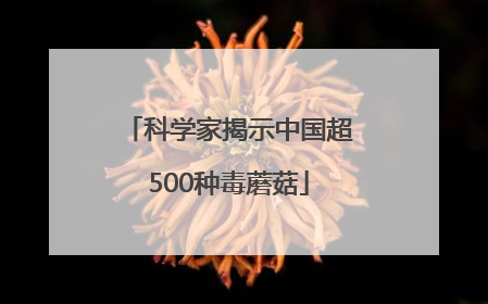 科学家揭示中国超500种毒蘑菇