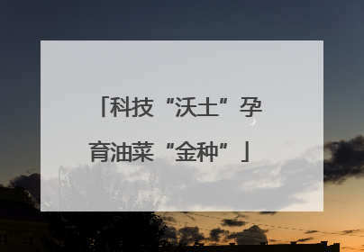 科技“沃土”孕育油菜“金种”