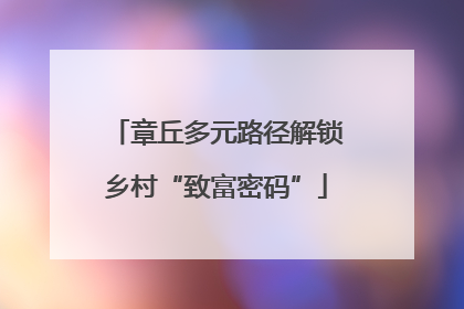 章丘多元路径解锁乡村“致富密码”