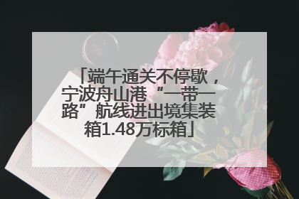 端午通关不停歇，宁波舟山港“一带一路”航线进出境集装箱1.48万标箱