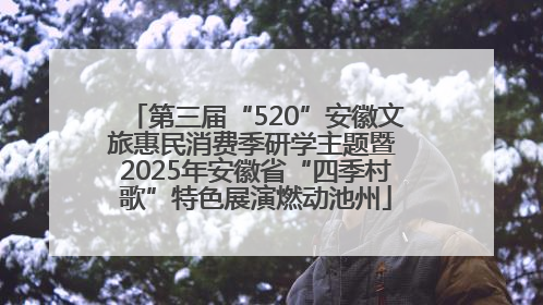 第三届“520”安徽文旅惠民消费季研学主题暨 2025年安徽省“四季村歌”特色展演燃动池州