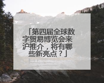 第四届全球数字贸易博览会来沪推介，将有哪些新亮点？