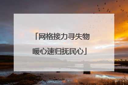 网格接力寻失物 暖心速归抚民心