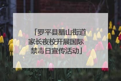 罗平县腊山街道家长夜校开展国际禁毒日宣传活动