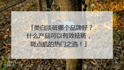美白淡斑哪个品牌好？什么产品可以有效祛斑，斑点肌的热门之选！