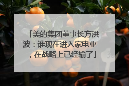 美的集团董事长方洪波：谁现在进入家电业，在战略上已经输了