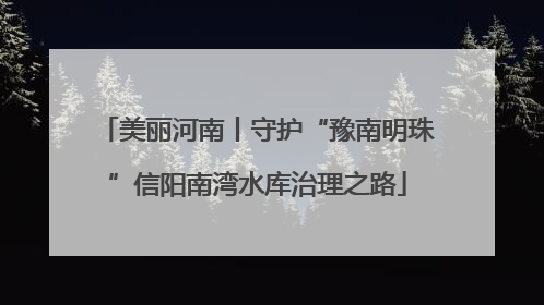 美丽河南丨守护“豫南明珠”信阳南湾水库治理之路