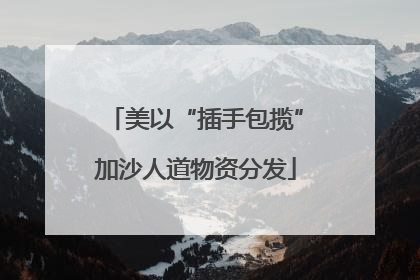 美以“插手包揽”加沙人道物资分发