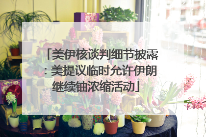美伊核谈判细节披露：美提议临时允许伊朗继续铀浓缩活动