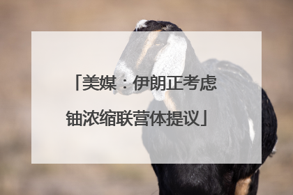 美媒：伊朗正考虑铀浓缩联营体提议