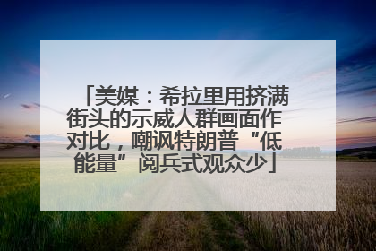 美媒：希拉里用挤满街头的示威人群画面作对比，嘲讽特朗普“低能量”阅兵式观众少
