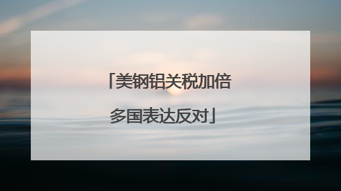 美钢铝关税加倍 多国表达反对