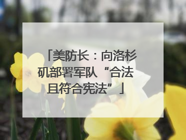 美防长：向洛杉矶部署军队“合法且符合宪法”