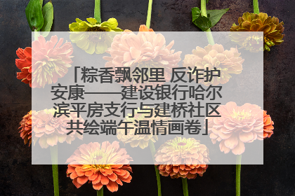 粽香飘邻里 反诈护安康——建设银行哈尔滨平房支行与建桥社区共绘端午温情画卷