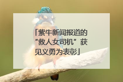紫牛新闻报道的“救人女司机”获见义勇为表彰